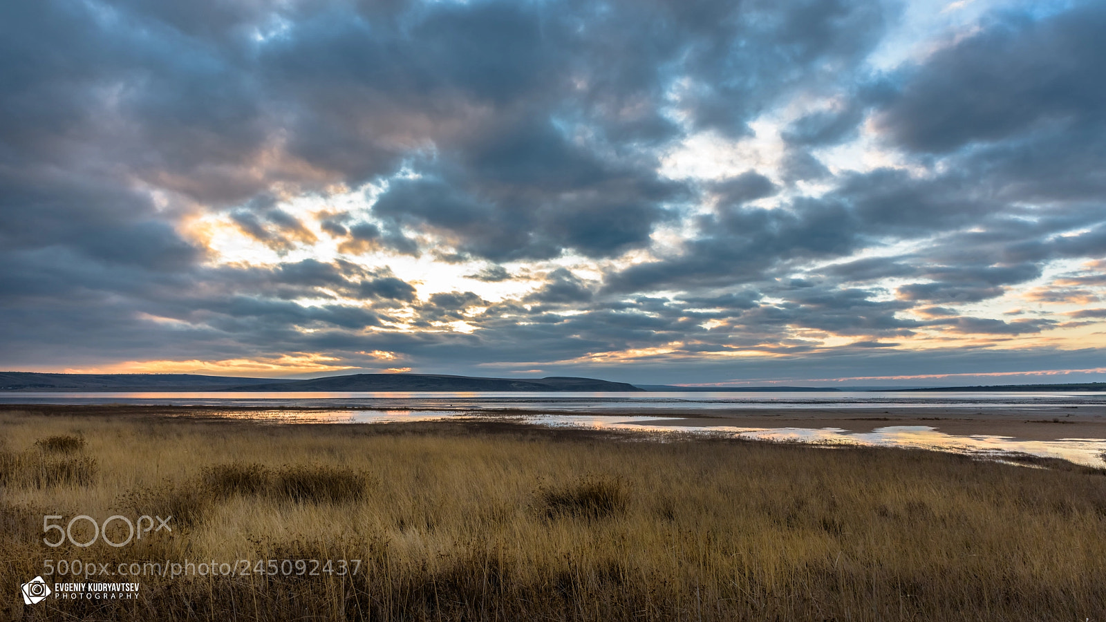 Nikon D810 sample photo. Winter colors photography