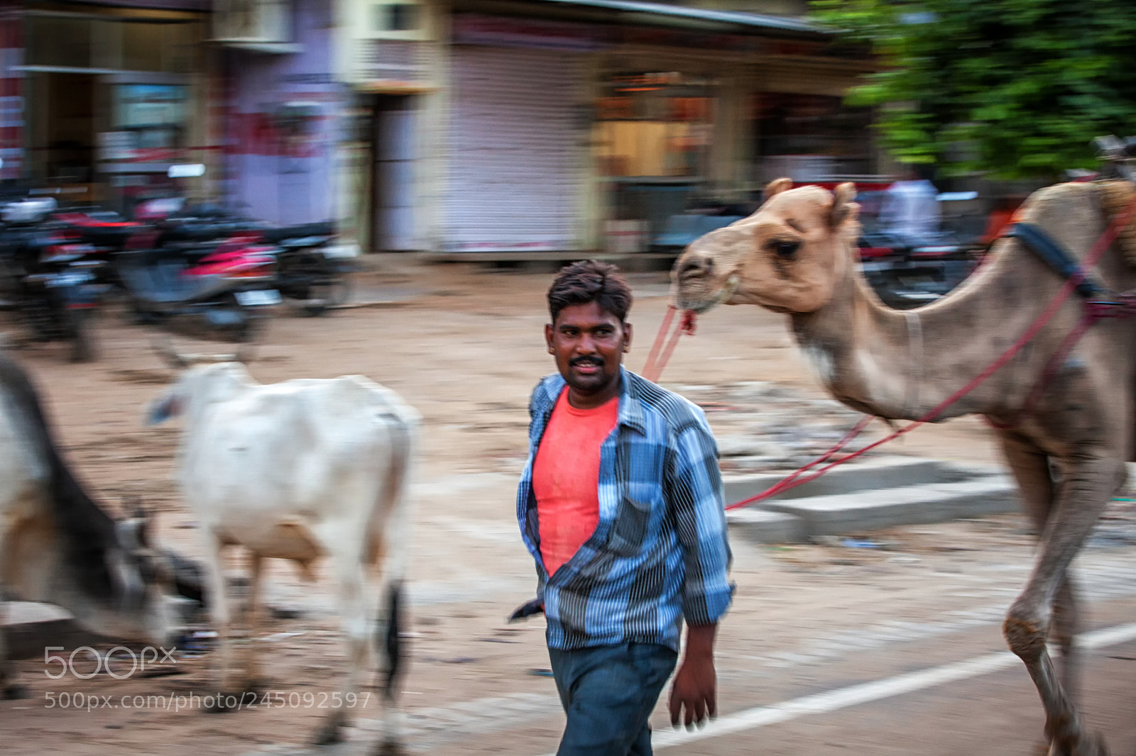 Canon EOS 5D Mark II sample photo. Man with a camel photography