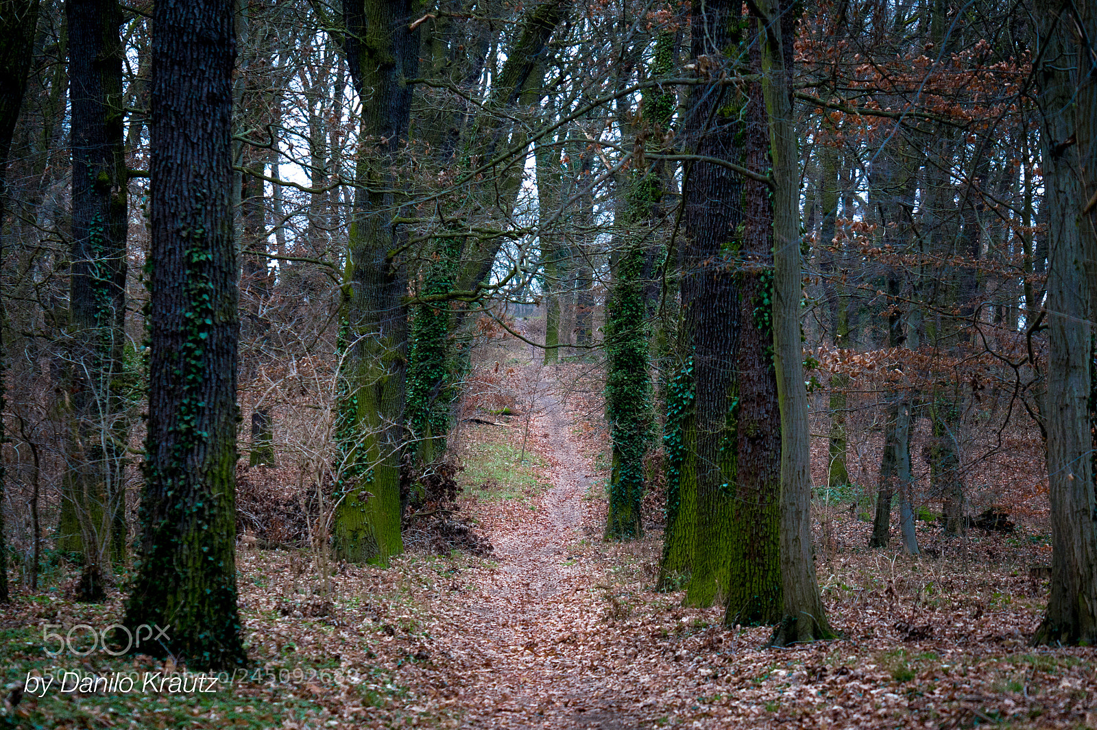 Panasonic Lumix DMC-G6 sample photo. Ruinenberg potsdam photography