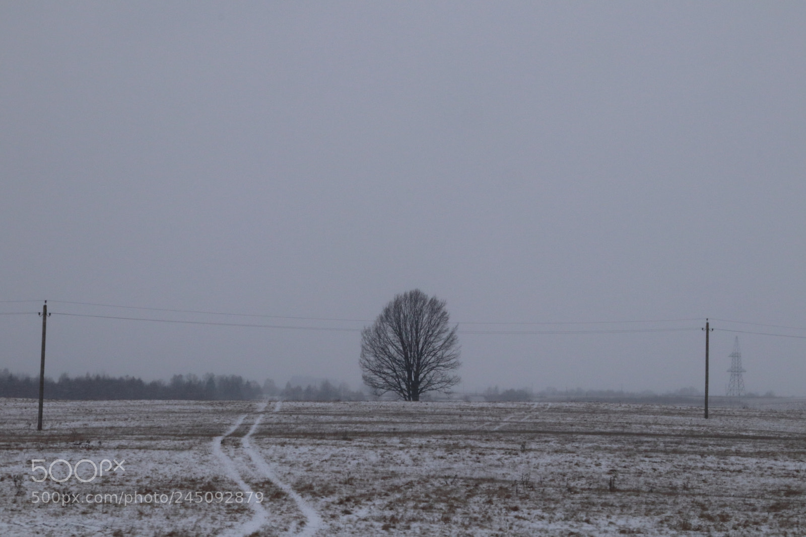Canon EOS M5 sample photo. Lonely tree photography