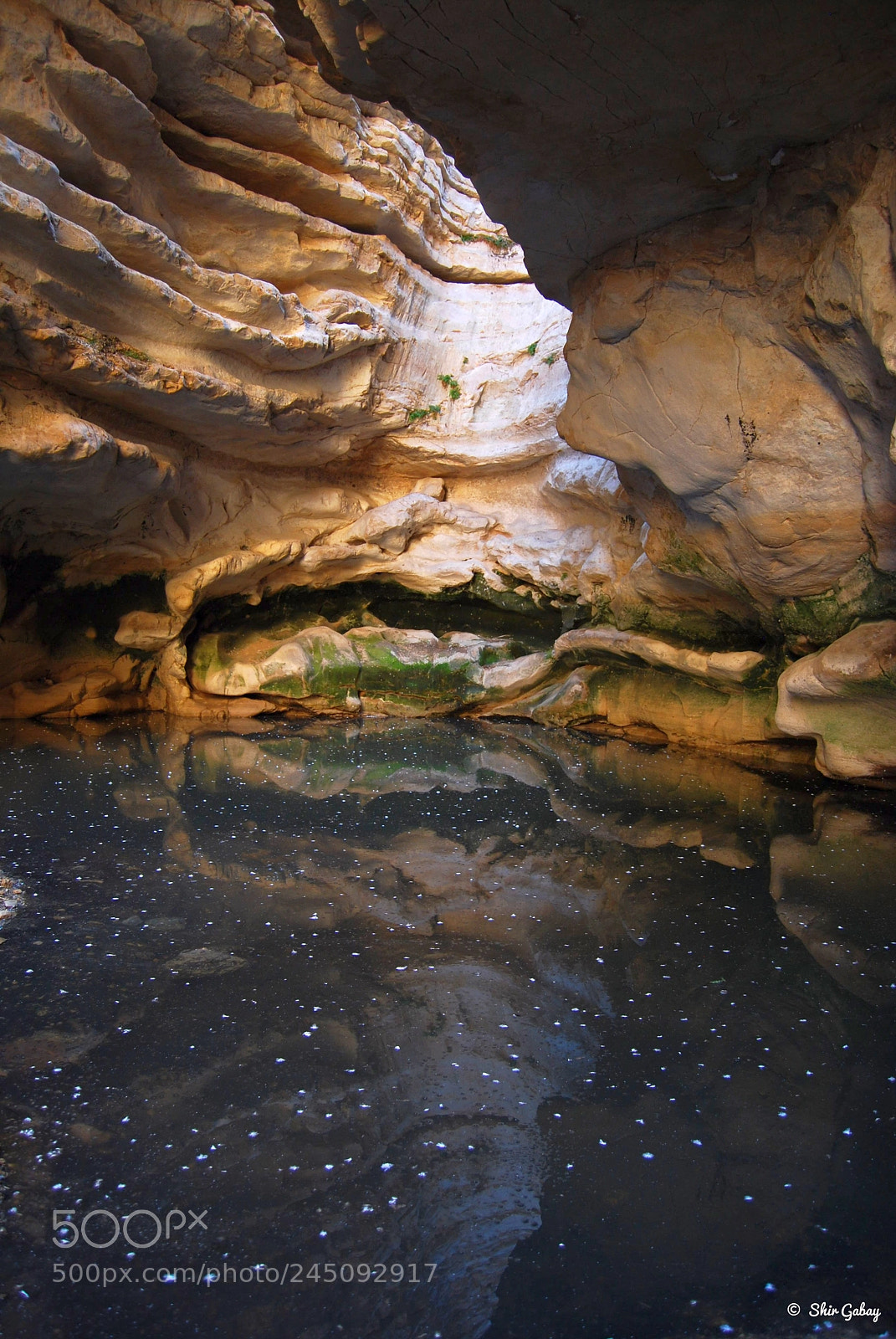 Nikon D60 sample photo. The magic cistern photography