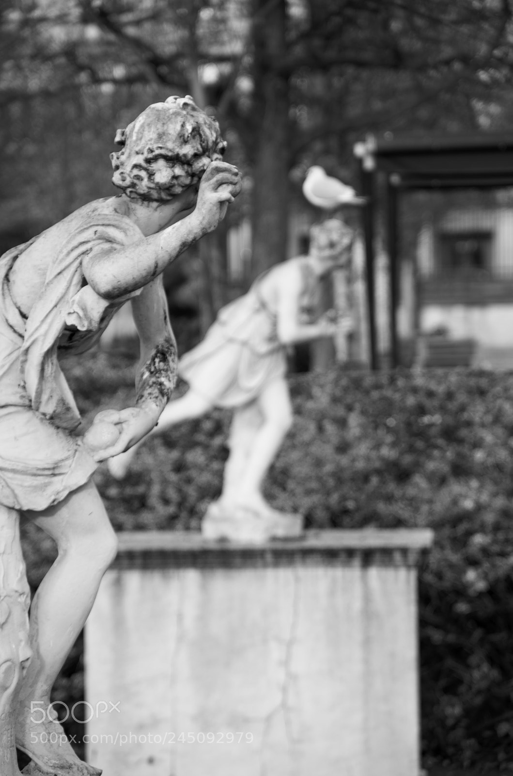 Pentax K-5 II sample photo. Le lien fraternel. photography