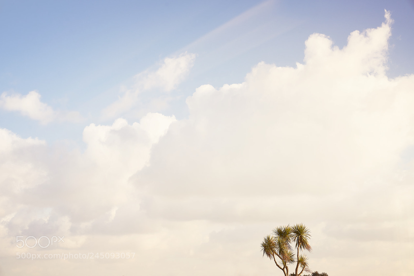 Sony a7R II sample photo. Day thirty six photography