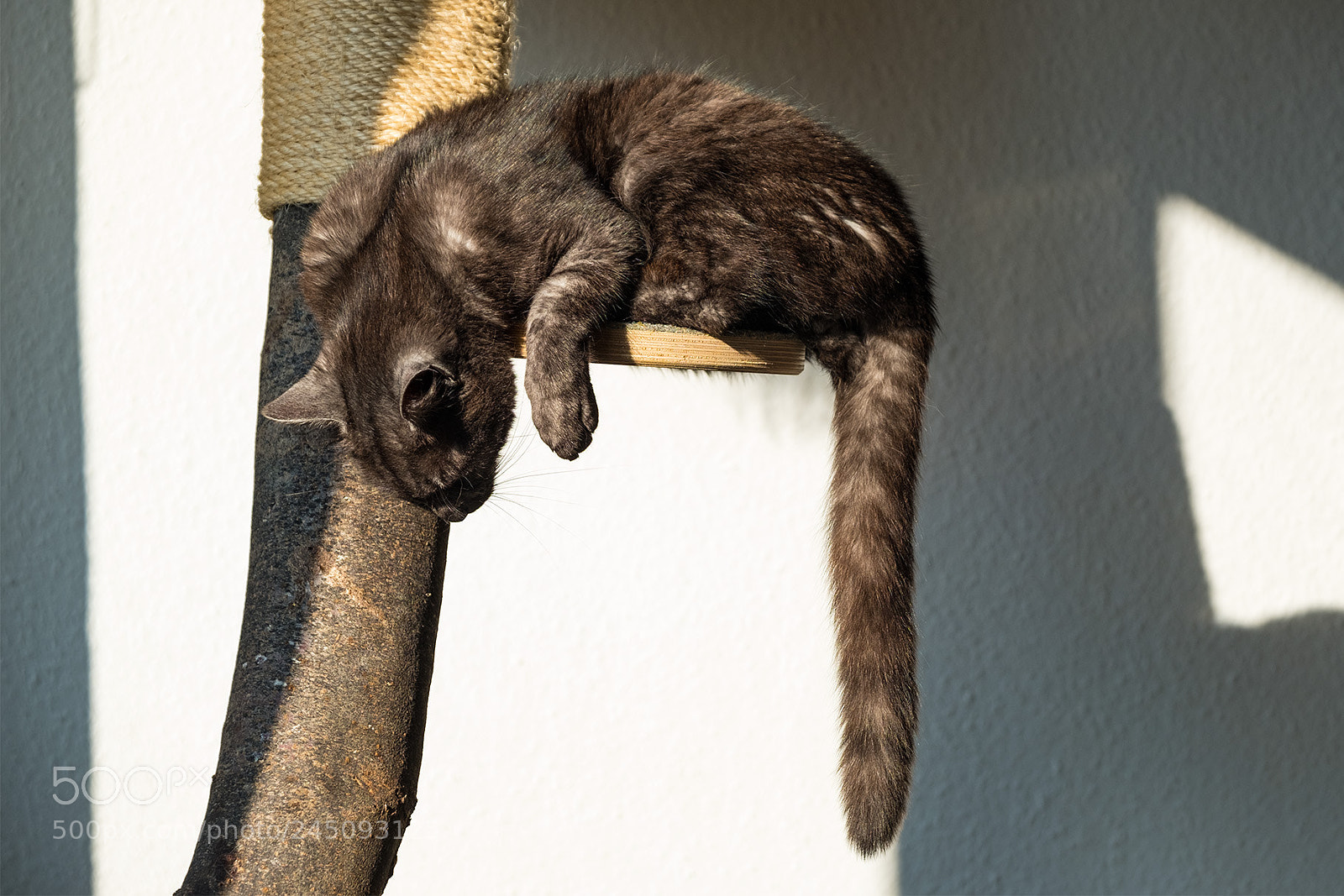 Fujifilm X-T2 sample photo. Today i just hang photography