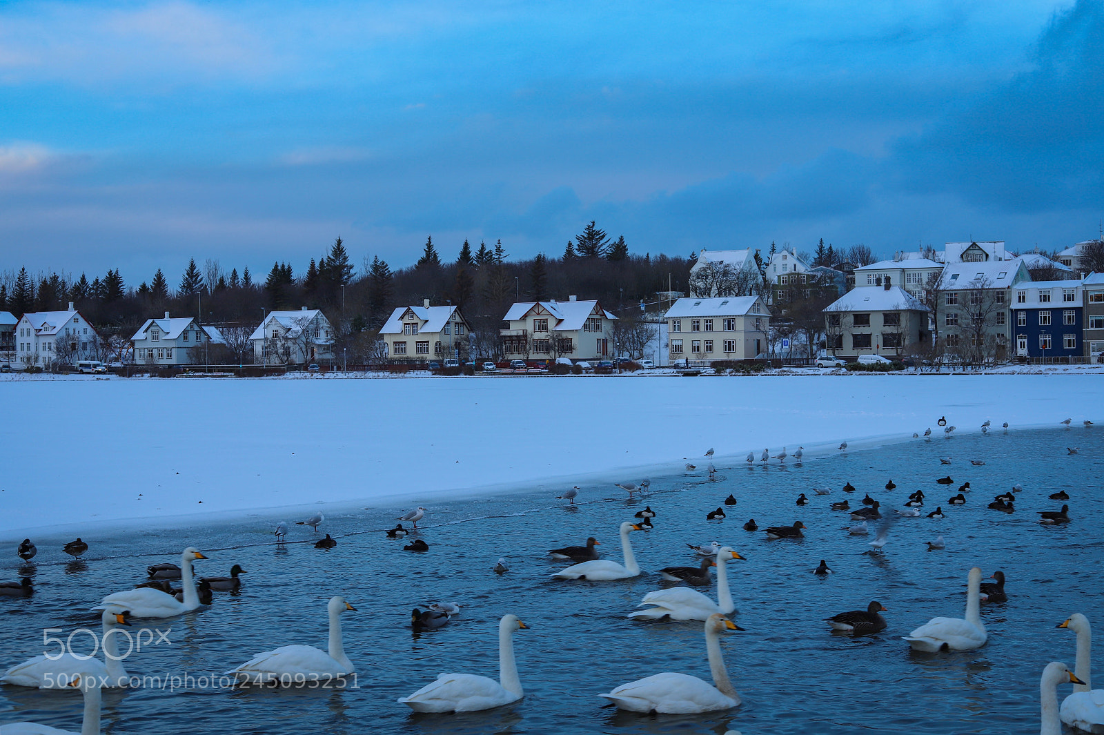 Canon EOS 6D Mark II sample photo. Untitled photography