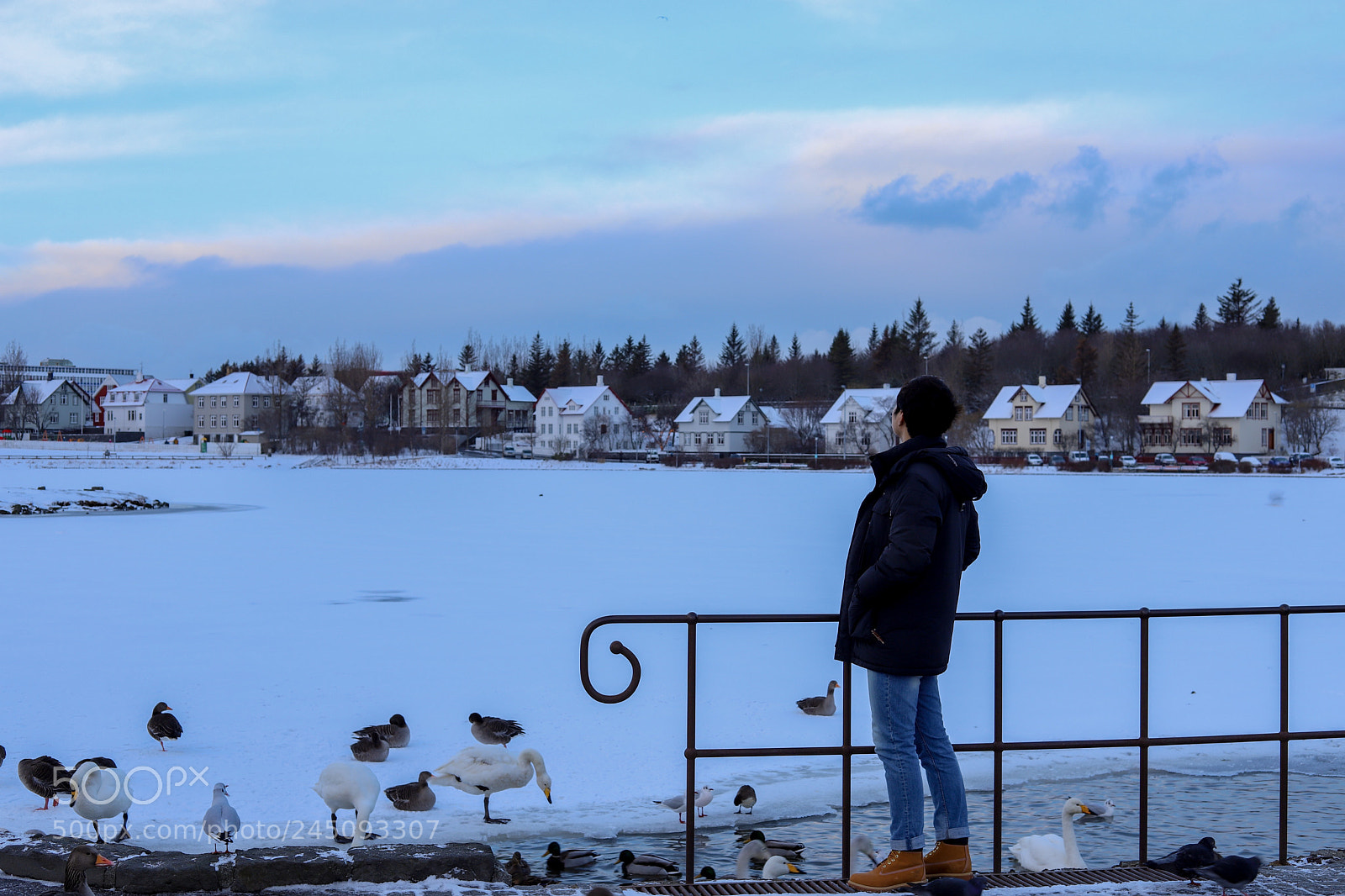 Canon EOS 6D Mark II sample photo. Iceland photography