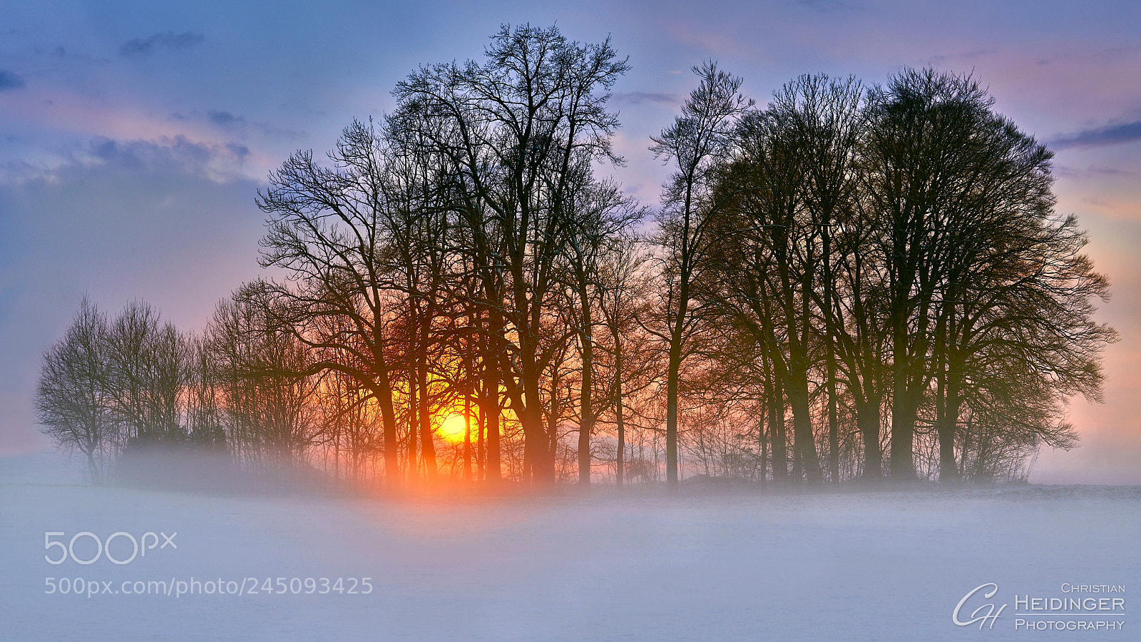 Sony a7R III sample photo. Magischer nebel photography