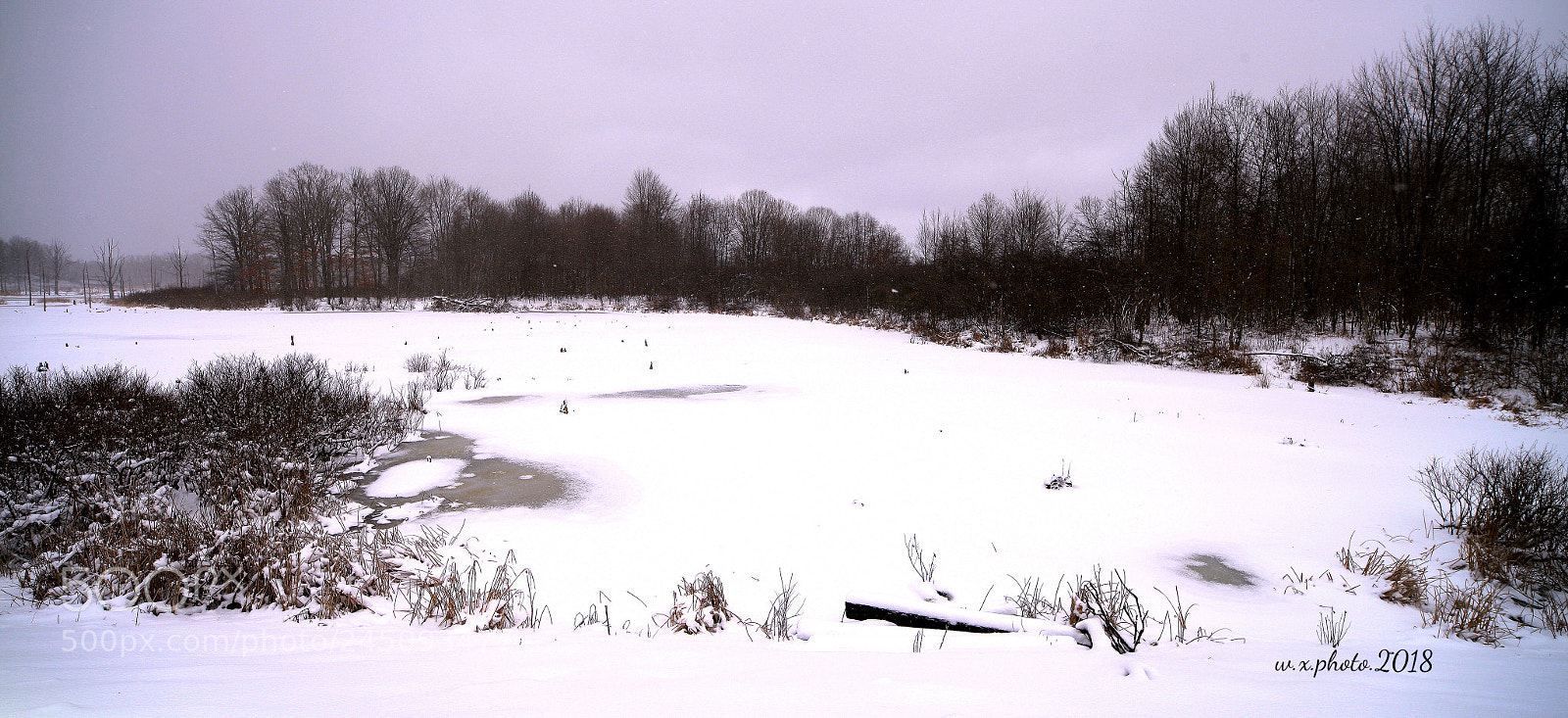 Canon EOS-1Ds Mark III sample photo. Snow photography
