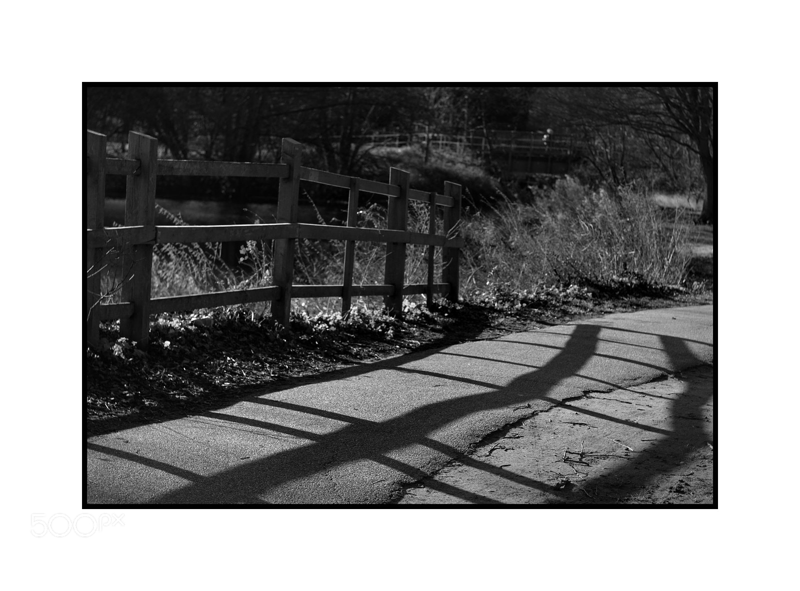 Fujifilm X-T1 sample photo. Fence lower castle park photography