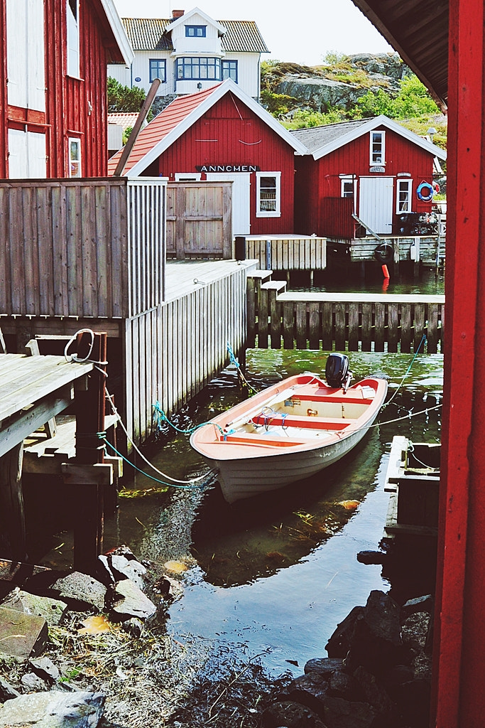 Nikon D5000 sample photo. Summer on tjörn photography