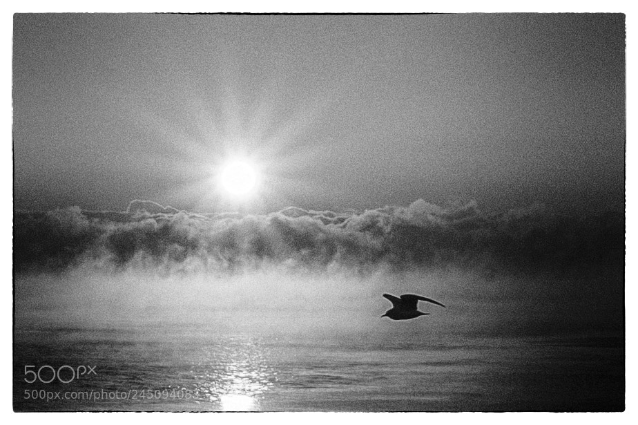 Canon EOS 5D sample photo. Flight over ice and photography