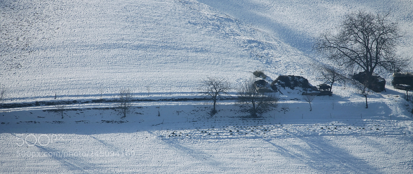 Canon EOS 1100D (EOS Rebel T3 / EOS Kiss X50) sample photo. Winter landscape photography