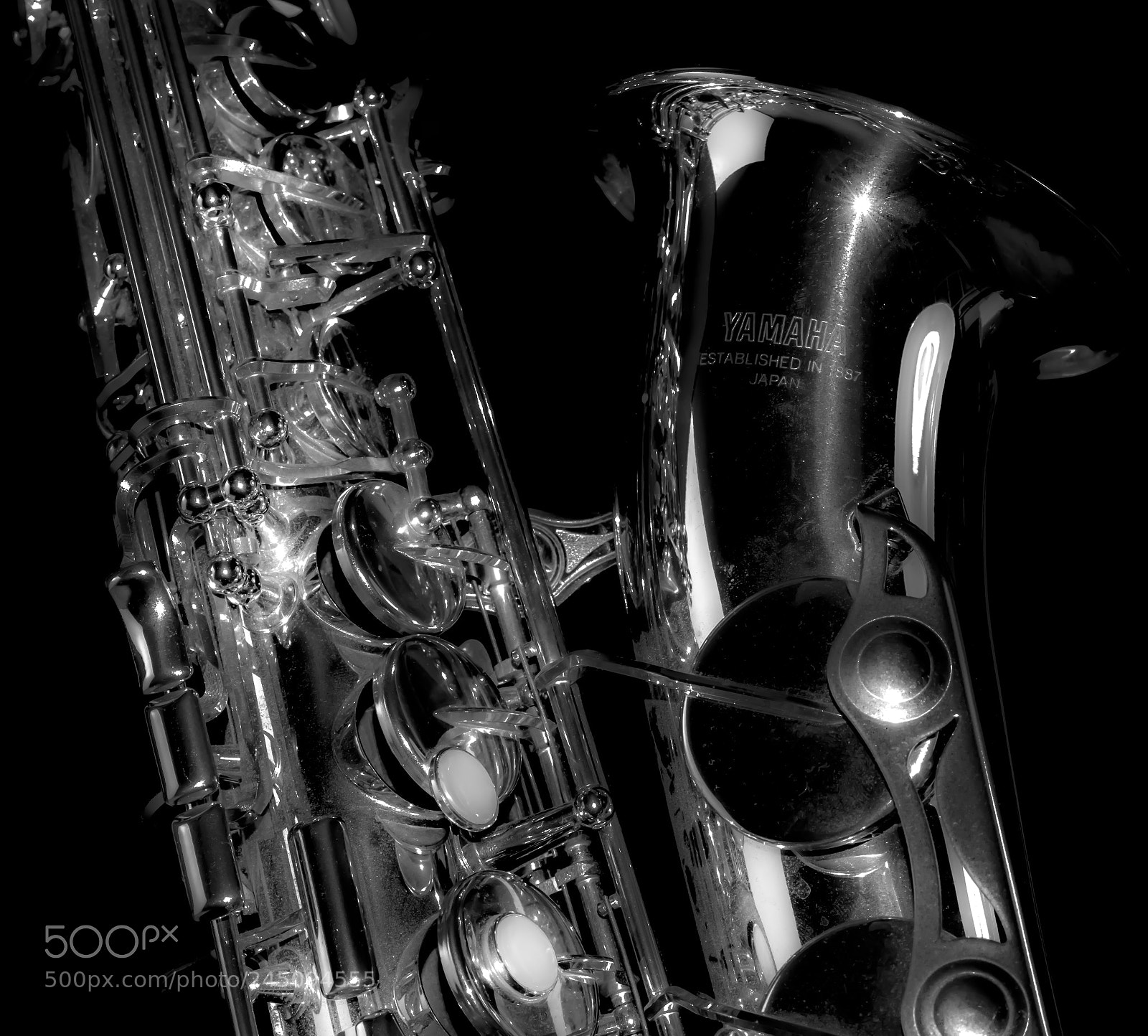 Nikon D810 sample photo. Jazzy mood... photography
