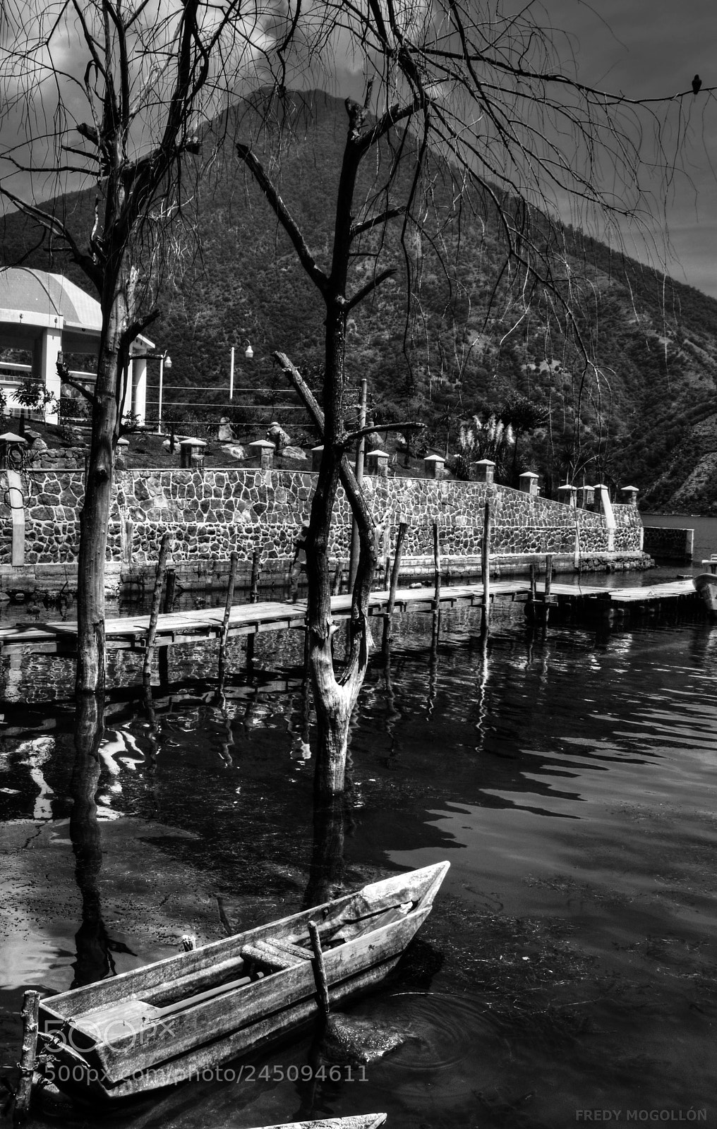 Nikon D5100 sample photo. Untitled photography