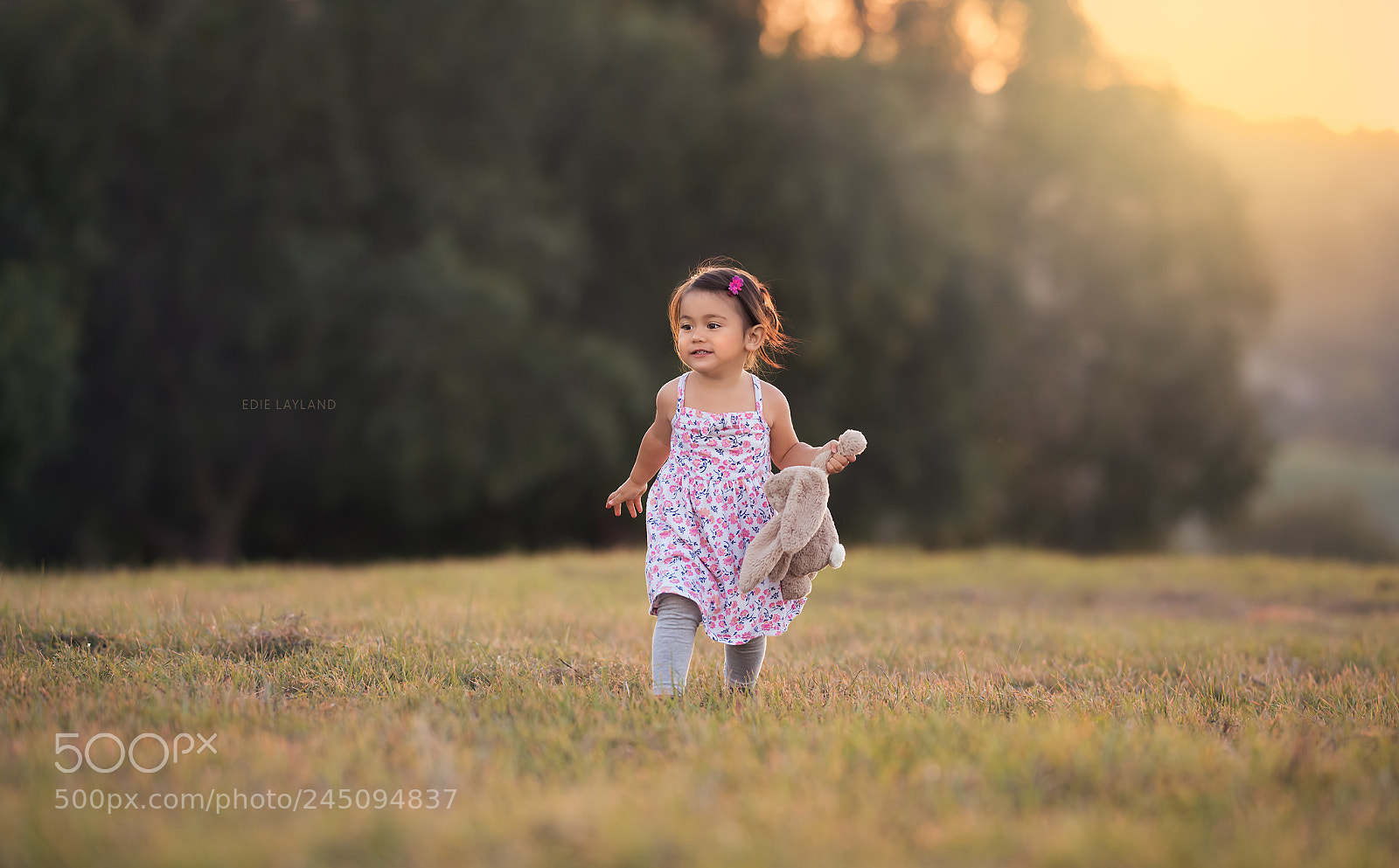 Nikon D850 sample photo. Always in a hurry photography
