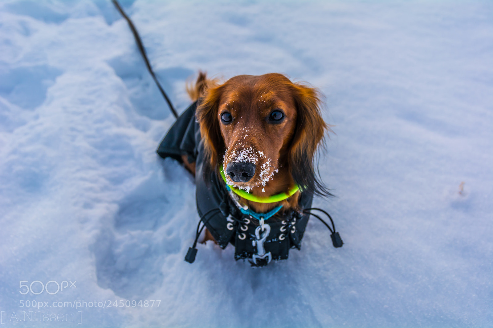 Nikon D7100 sample photo. Tula photography
