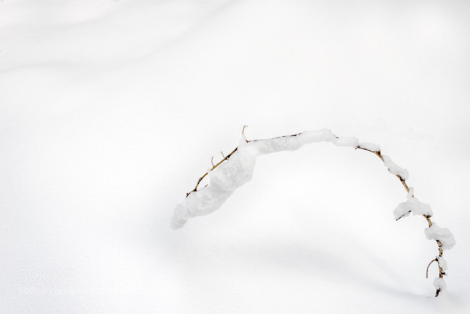 Nikon D610 sample photo. The weight of time photography