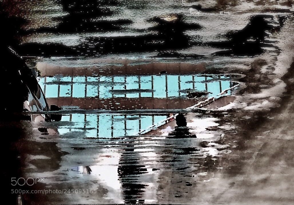 Apple iPhone 5s sample photo. Aquatics photography