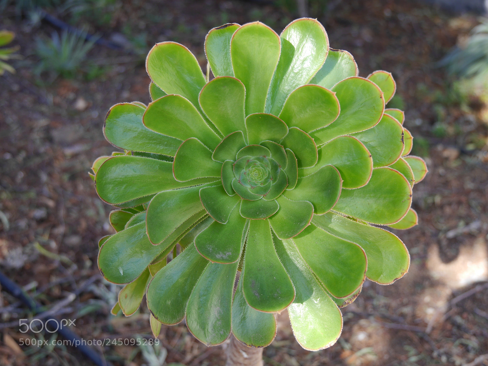 Panasonic Lumix DMC-G6 sample photo. Untitled photography