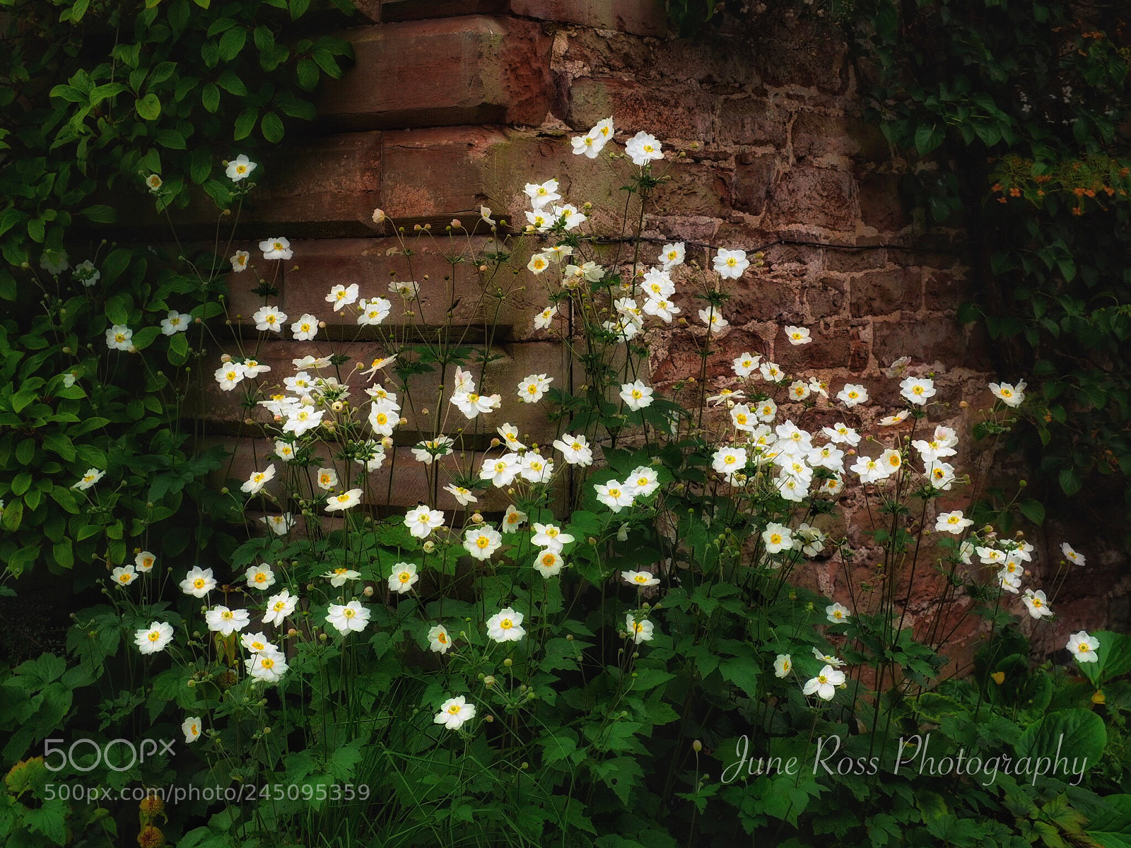 Olympus OM-D E-M5 II sample photo. Light in the darkness photography
