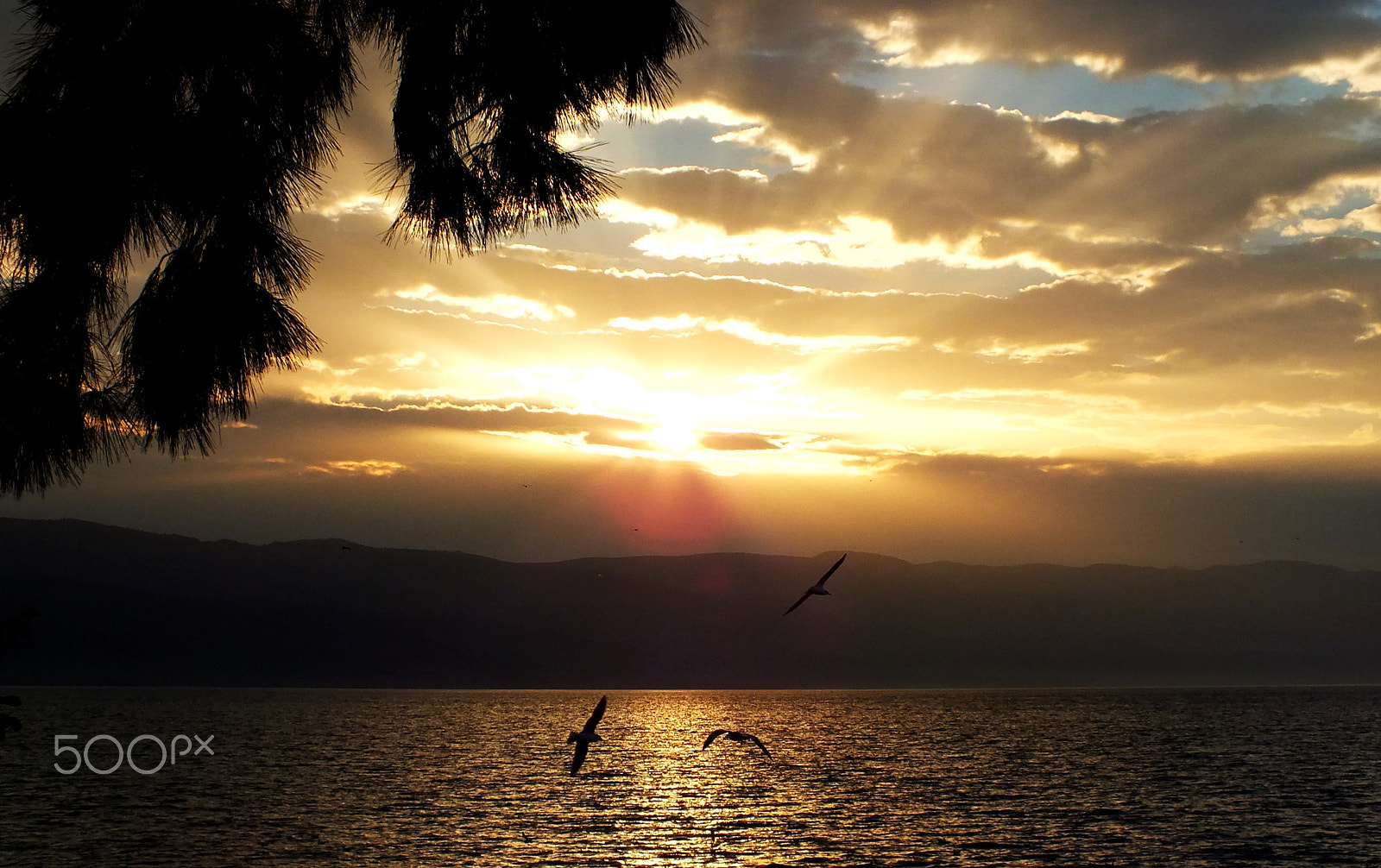 Fujifilm FinePix HS28EXR sample photo. Derinlik photography