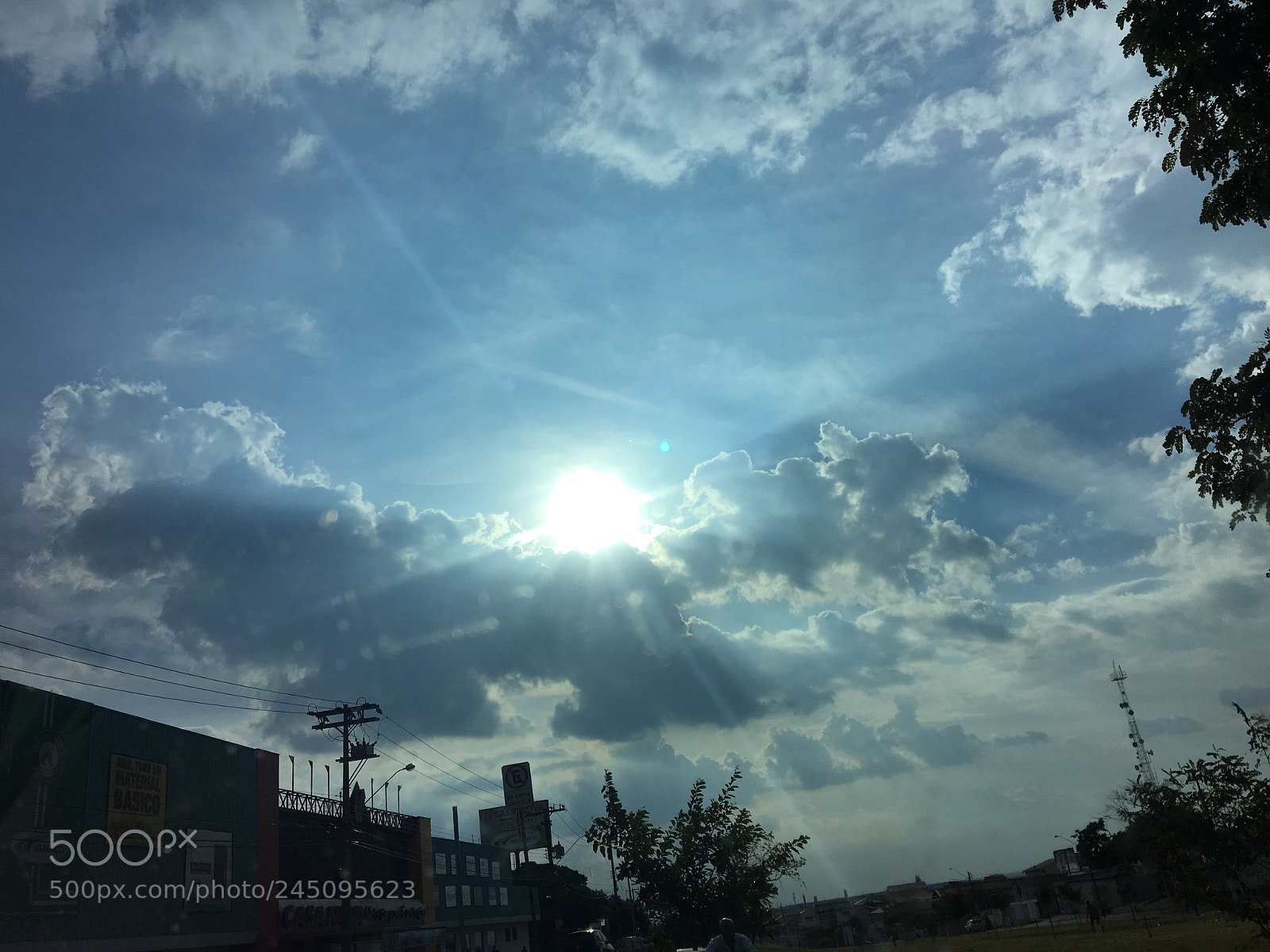Apple iPhone 6s sample photo. Untitled photography