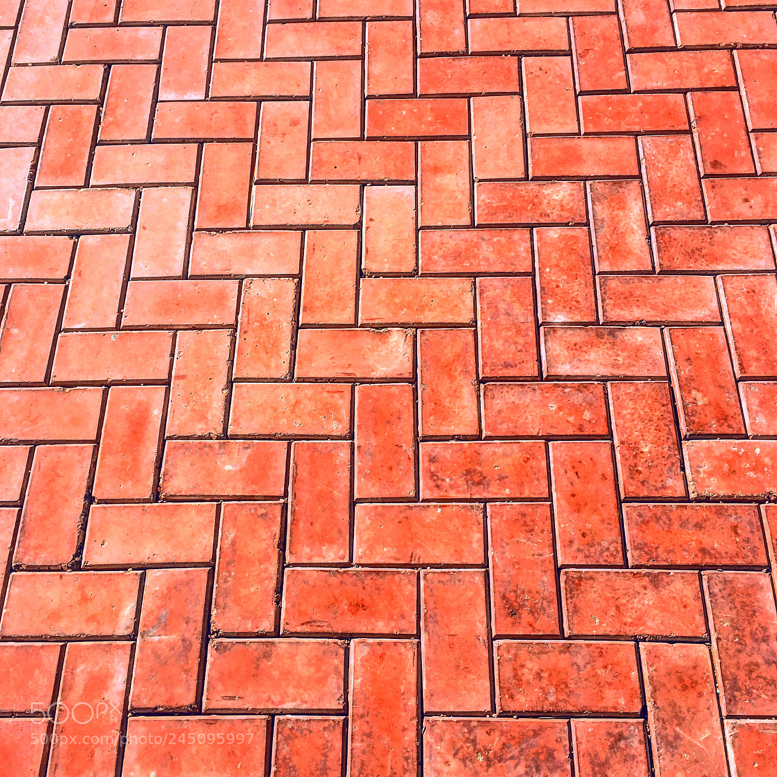 Apple iPhone 6s Plus sample photo. Untitled photography