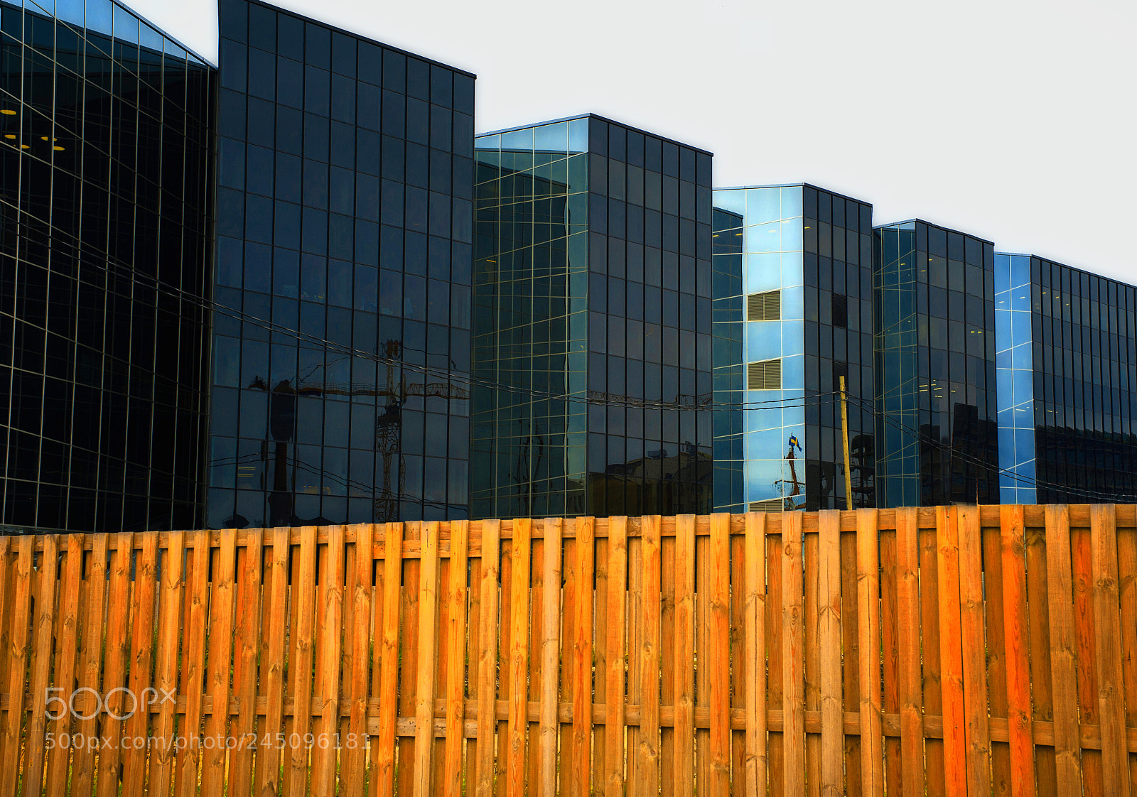 Nikon D700 sample photo. Blue over the fence photography