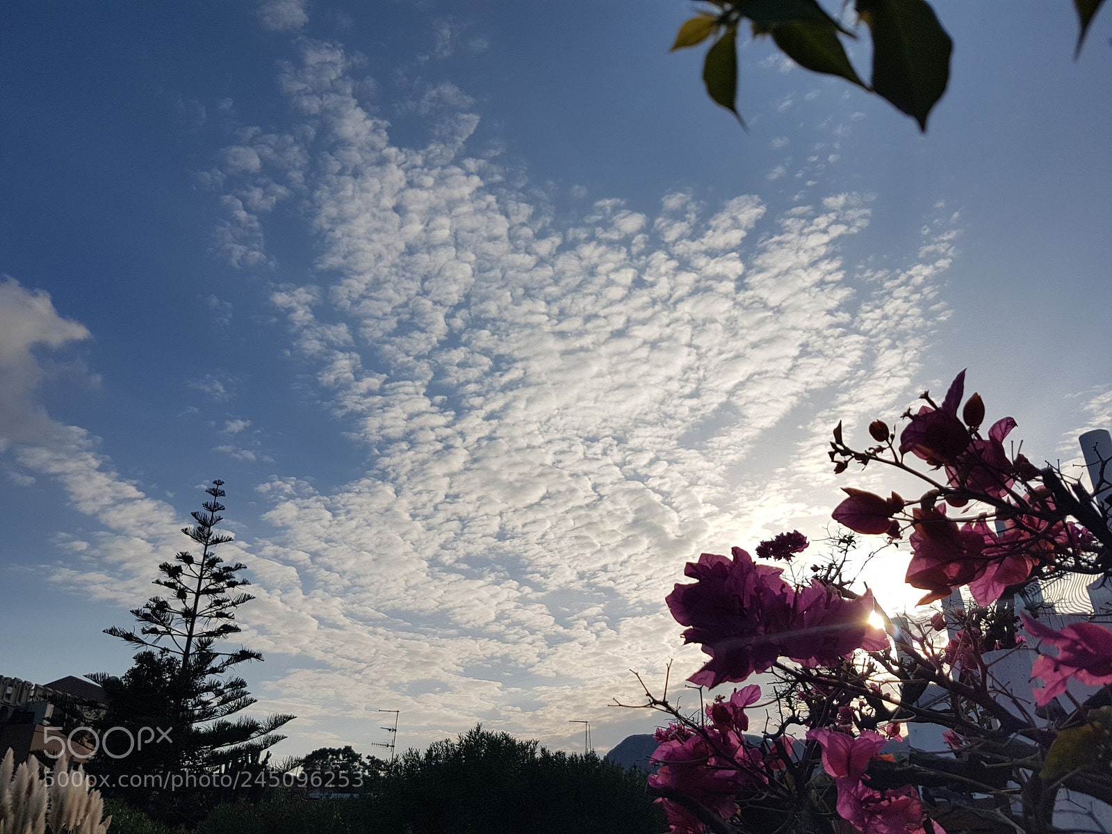 Samsung Galaxy S7 sample photo. Eolian's clouds photography