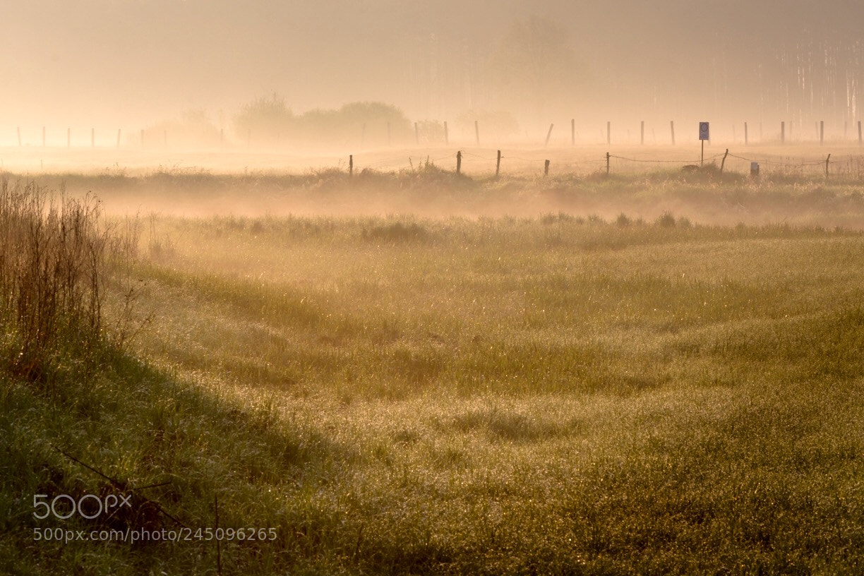Nikon D7200 sample photo. Sunrise at river meadows photography