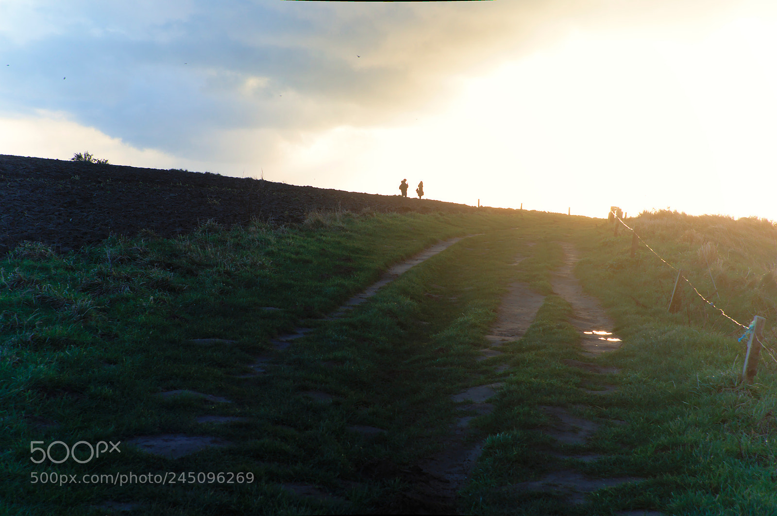 Pentax K-7 sample photo. Untitled photography