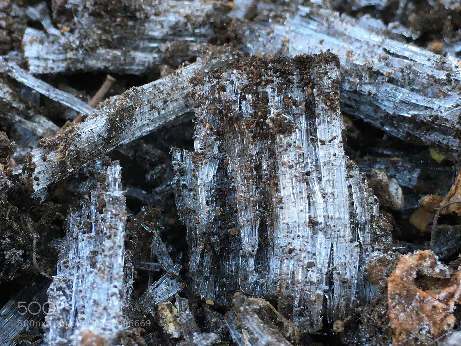 Apple iPhone 6s Plus sample photo. Winter2018 frostcolumns photography