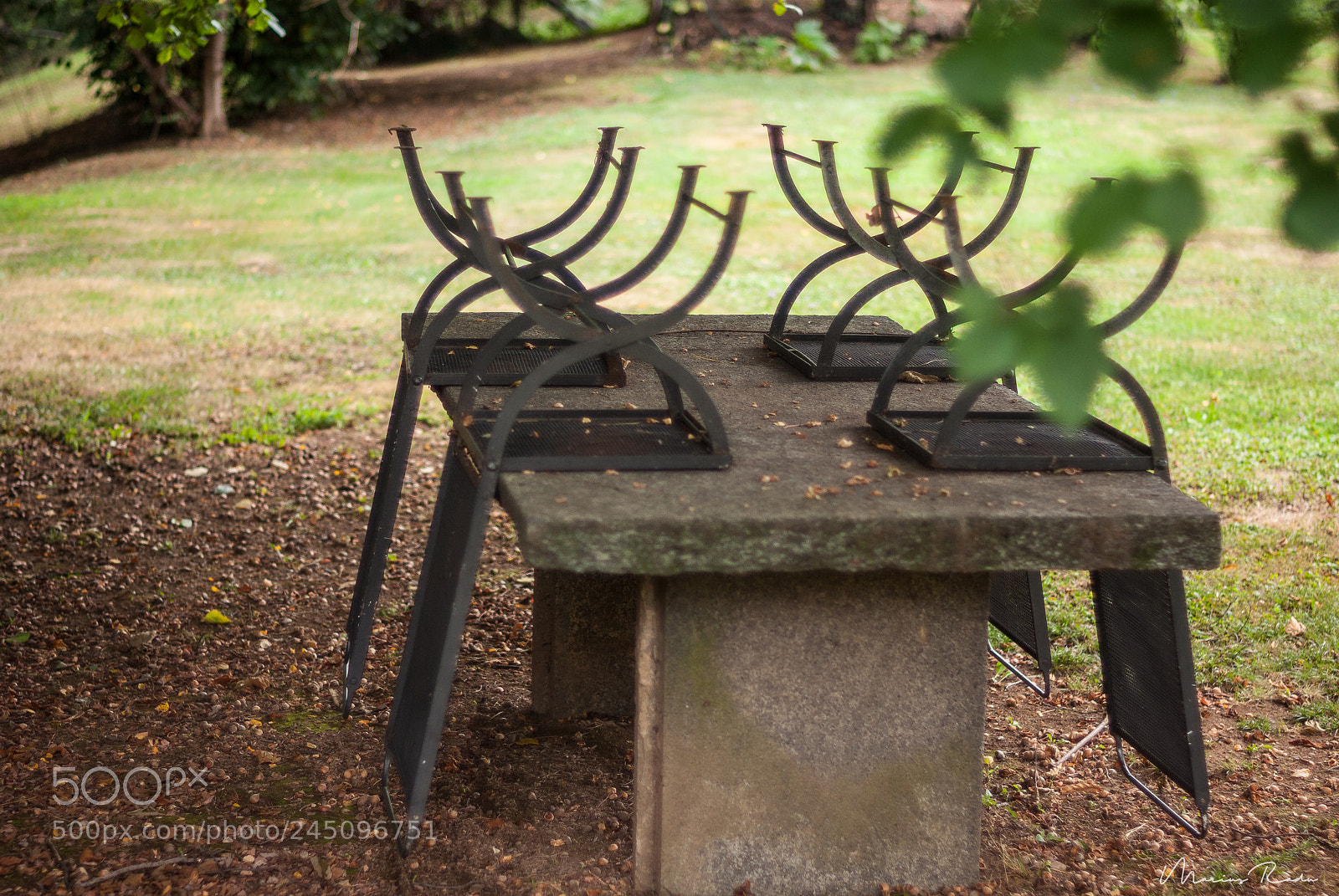 Pentax K10D sample photo. Relax garden photography