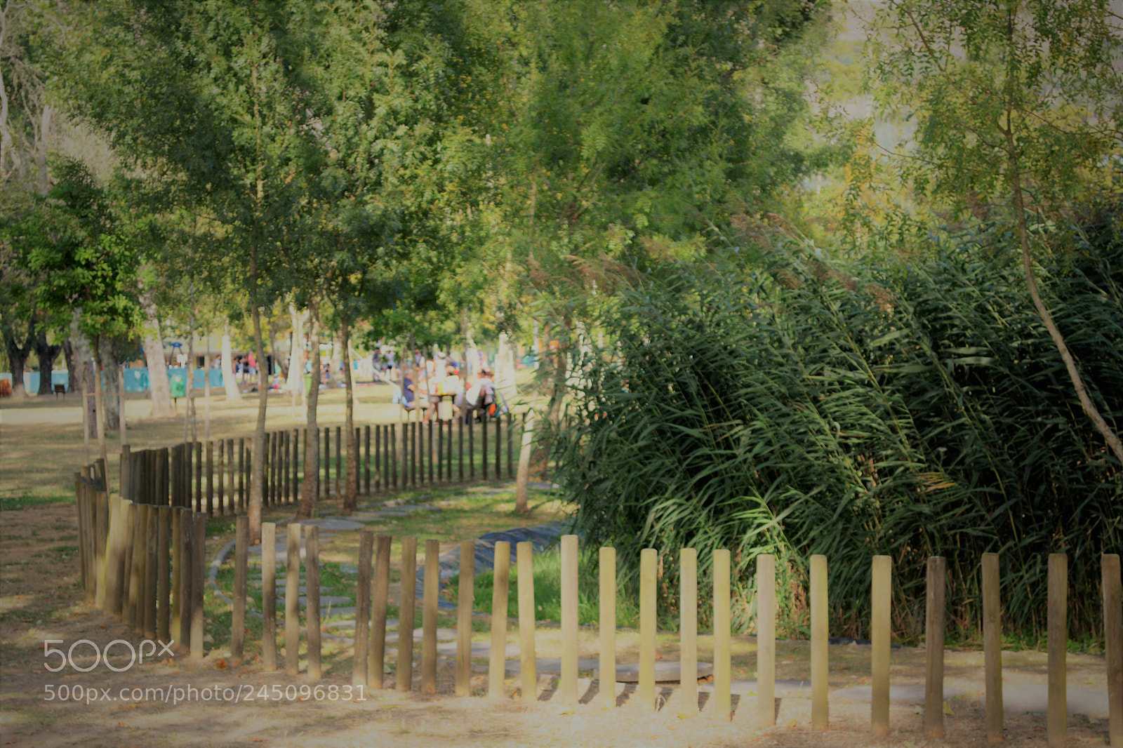 Nikon D5200 sample photo. Rive gauche photography