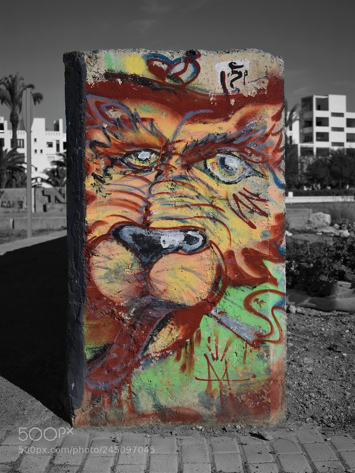 Nikon D3400 sample photo. Graffiti photography