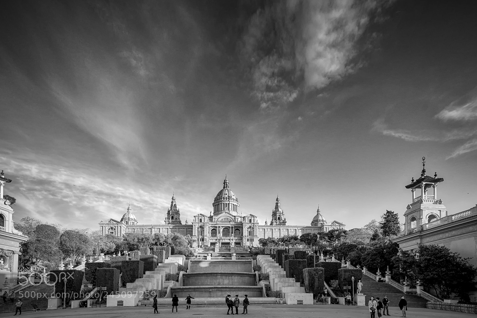 Nikon D800 sample photo. Museu nacional d'art de photography