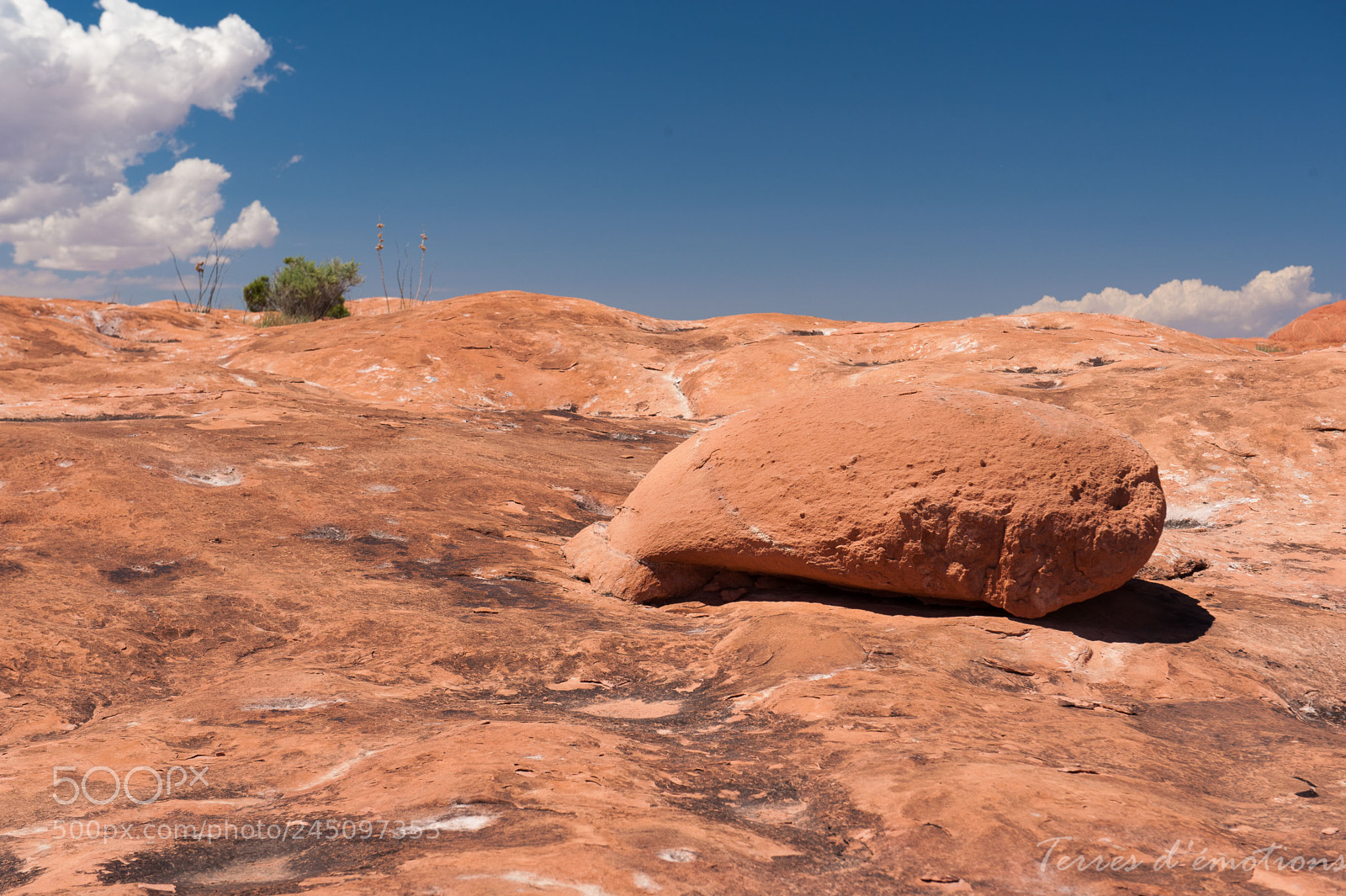 Nikon D3 sample photo. Needle in the sky photography