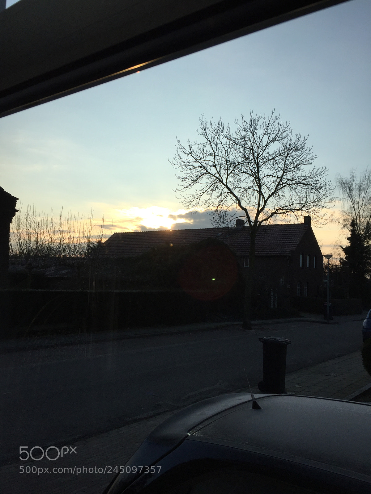 Apple iPhone 6 sample photo. Untitled photography