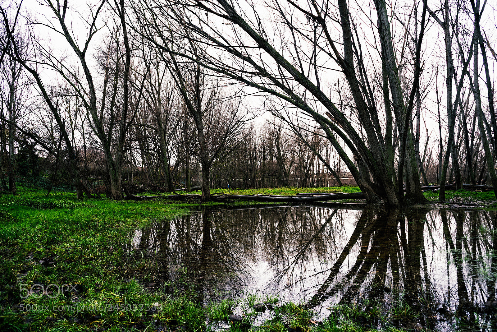Nikon D800 sample photo. Parque del ebro photography