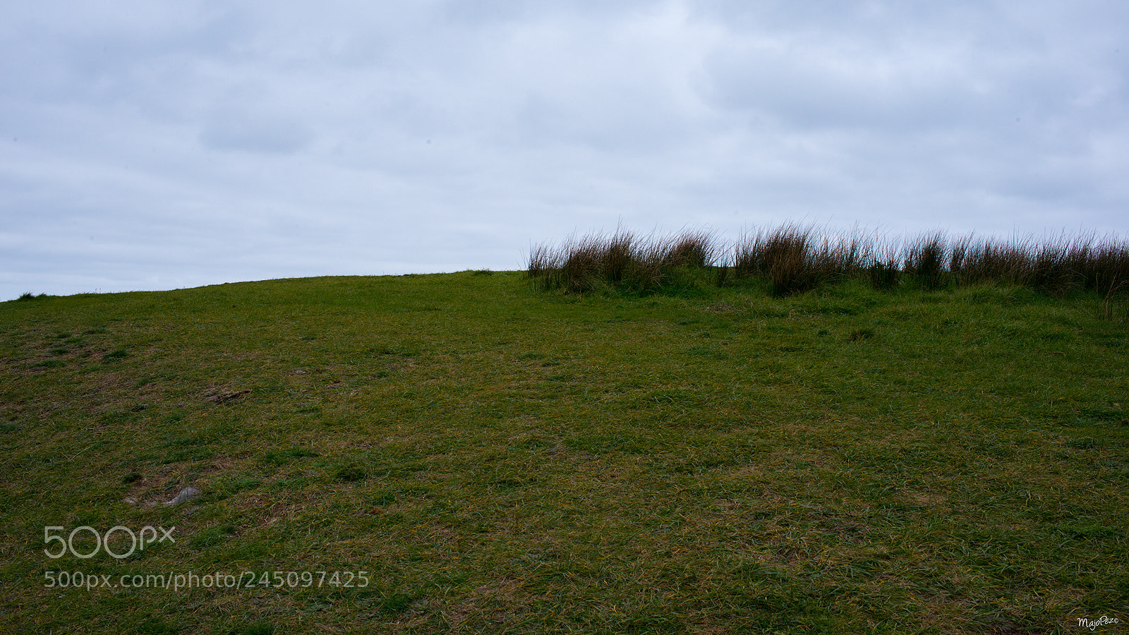 Nikon D800 sample photo. Green&blue photography