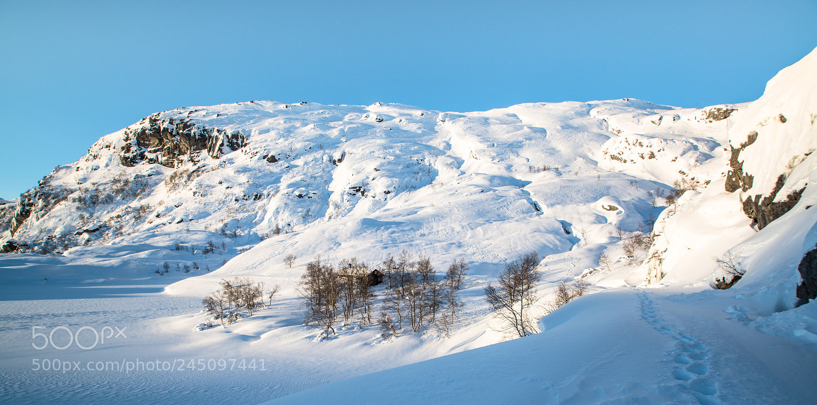 Nikon D800E sample photo. Amazing winter day in photography