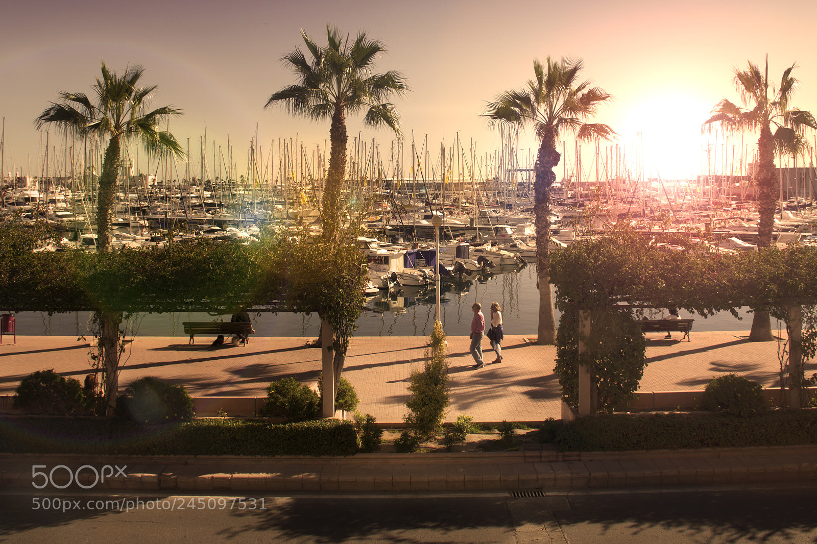 Nikon D7200 sample photo. Sunset in the port photography