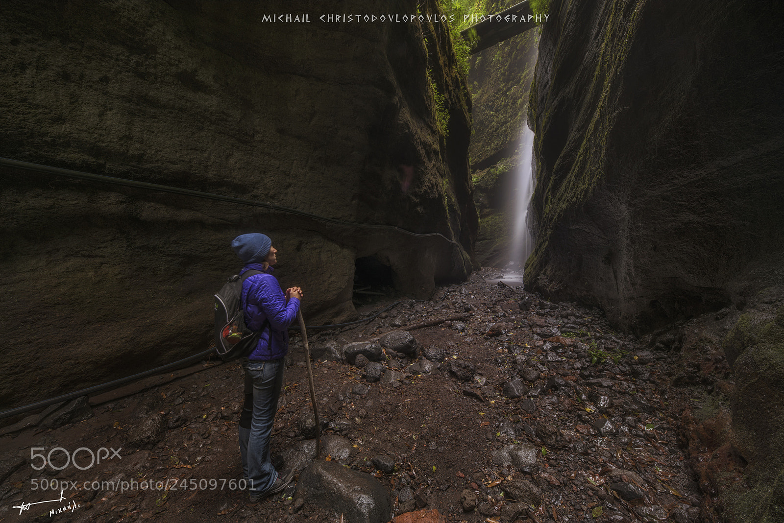 Nikon D810 sample photo. Los tilos (la palma) photography