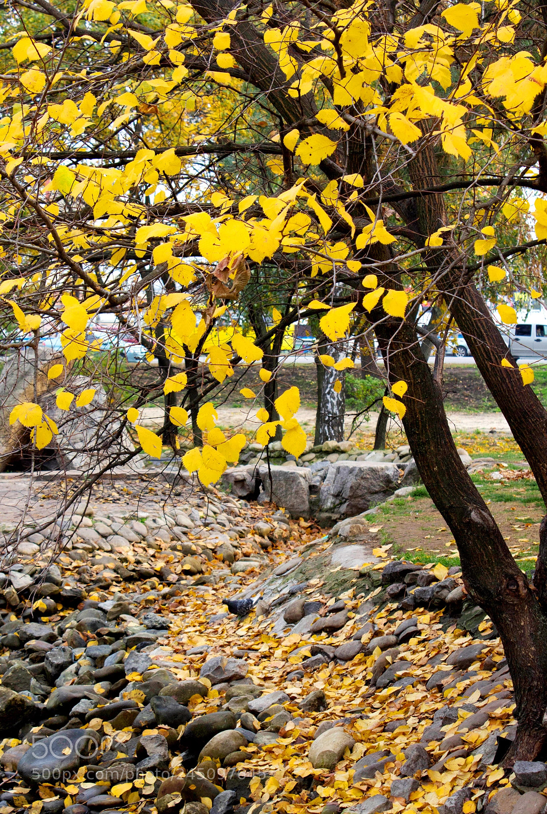 Canon EOS 60D sample photo. Img photography