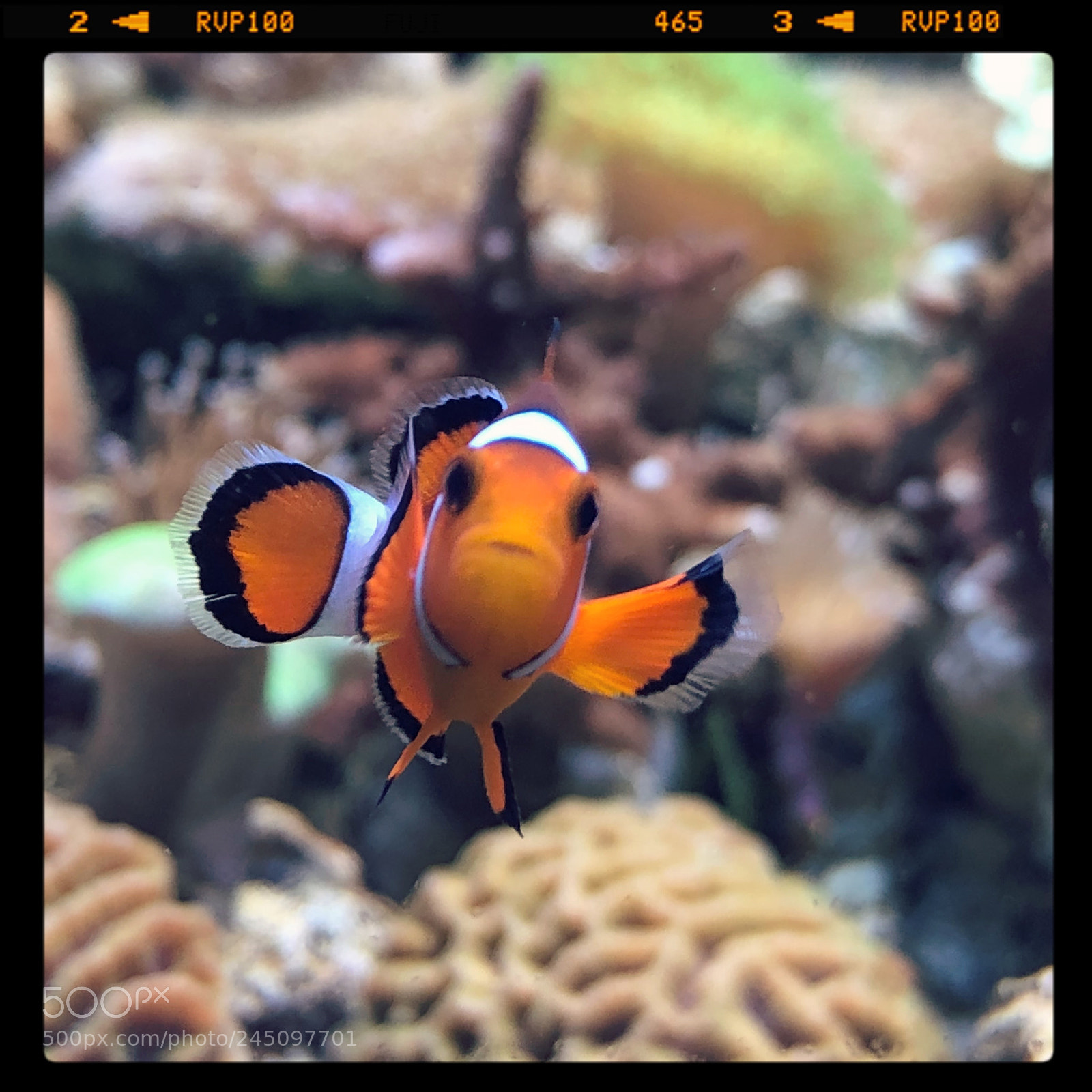 Apple iPhone 8 sample photo. Untitled photography
