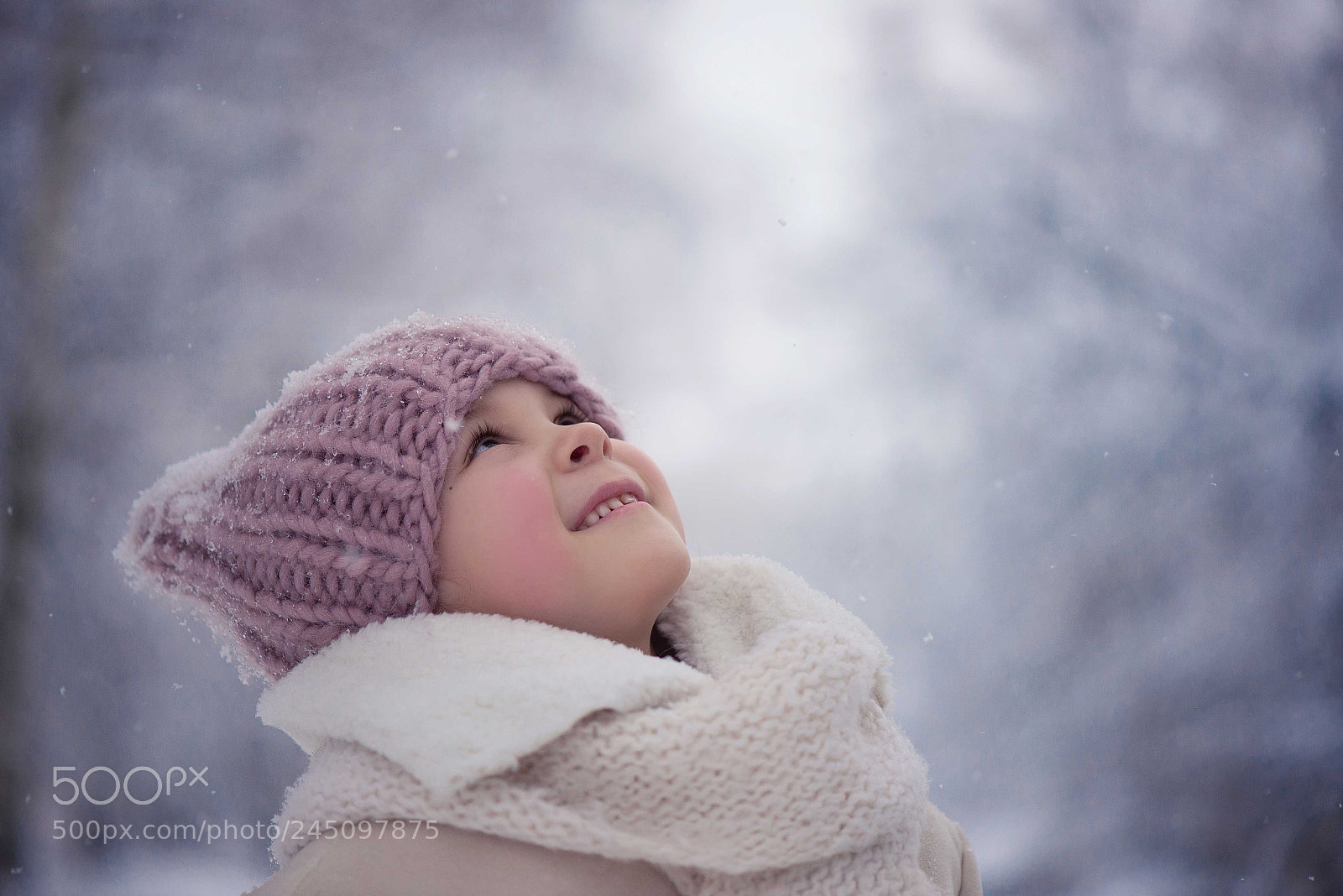 Nikon D610 sample photo. Untitled photography
