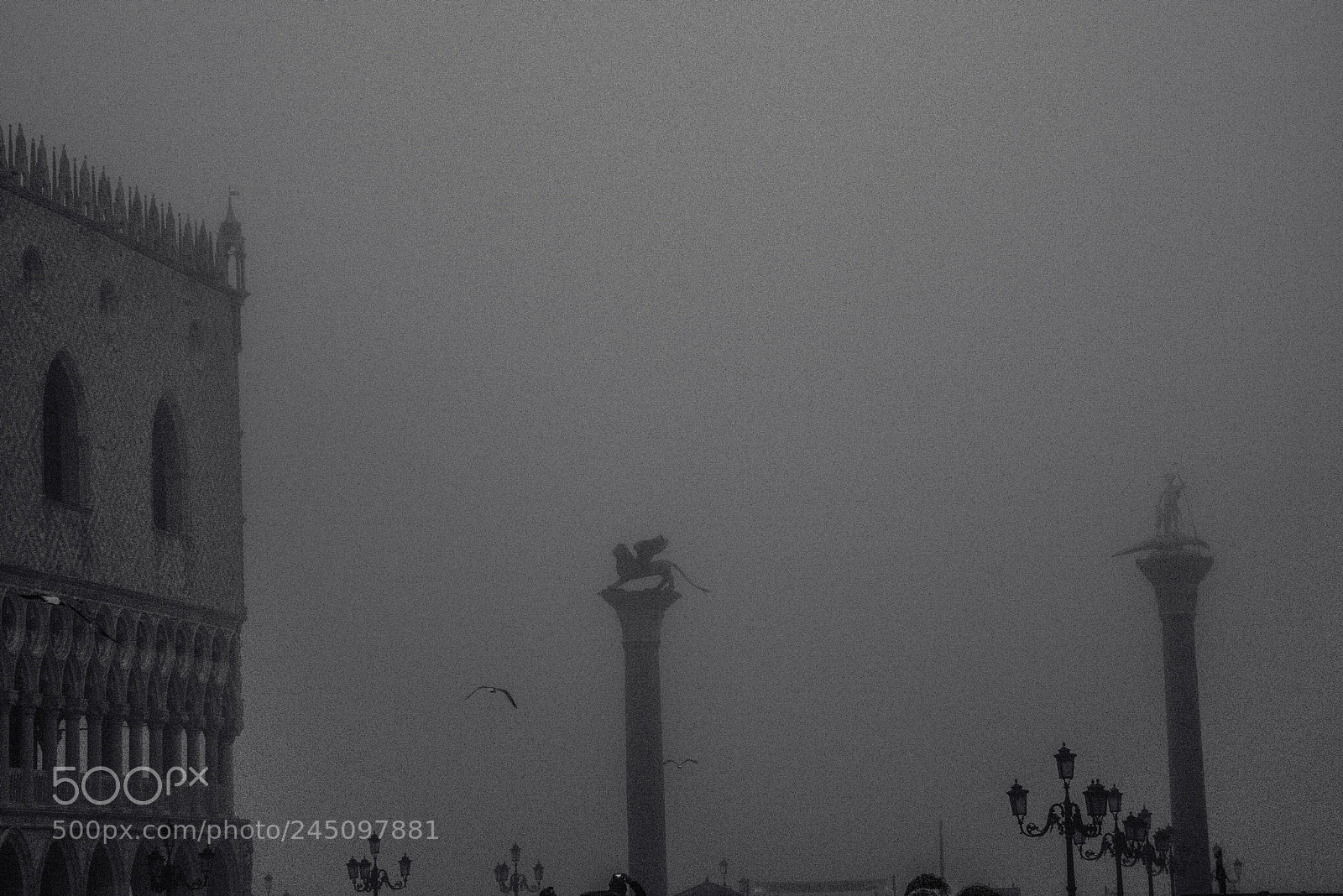 Nikon D800 sample photo. Venezia piazza san marco photography