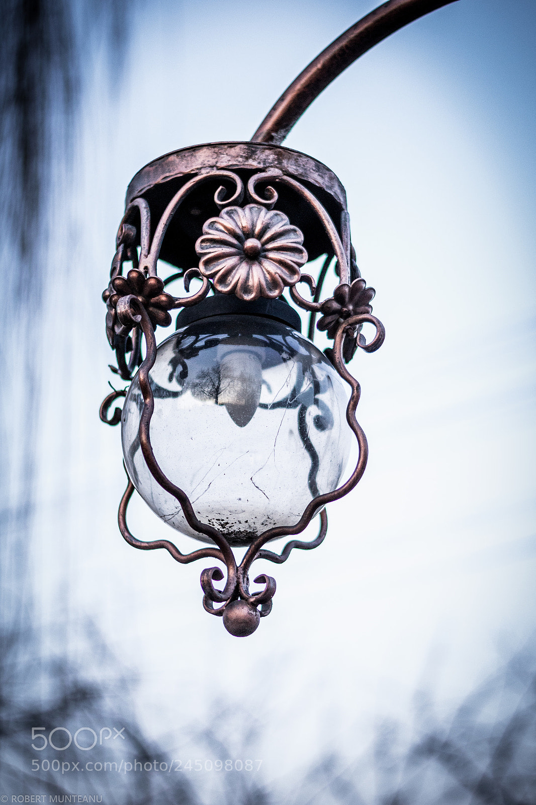 Nikon D3100 sample photo. Untitled photography