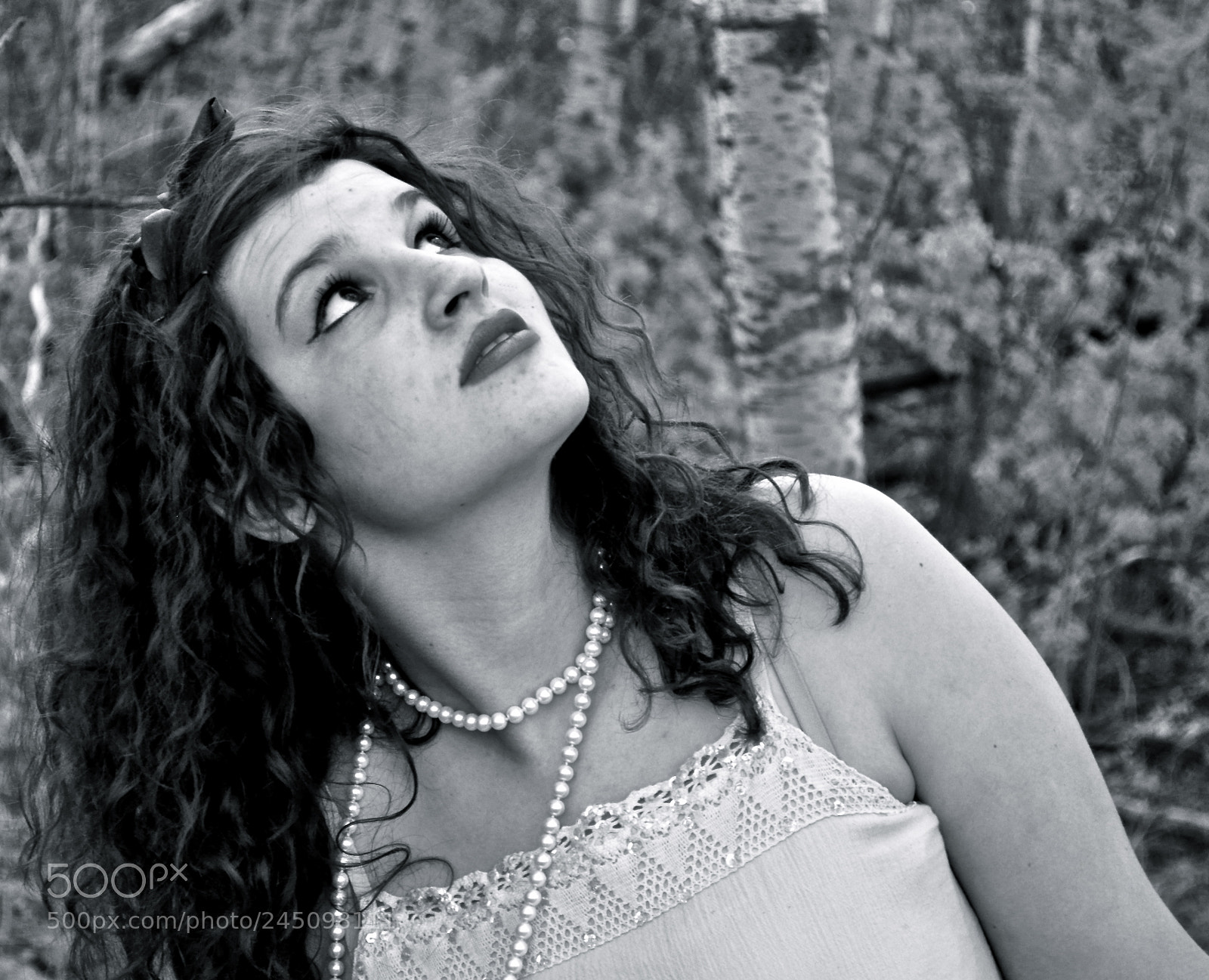 Nikon D5000 sample photo. Forest photography