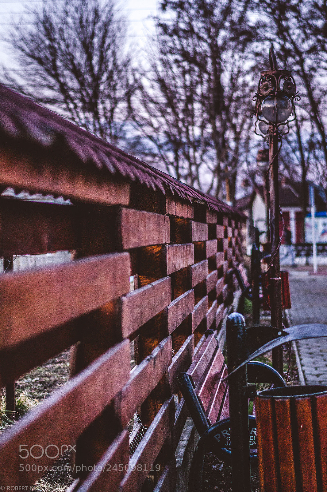 Nikon D3100 sample photo. Untitled photography